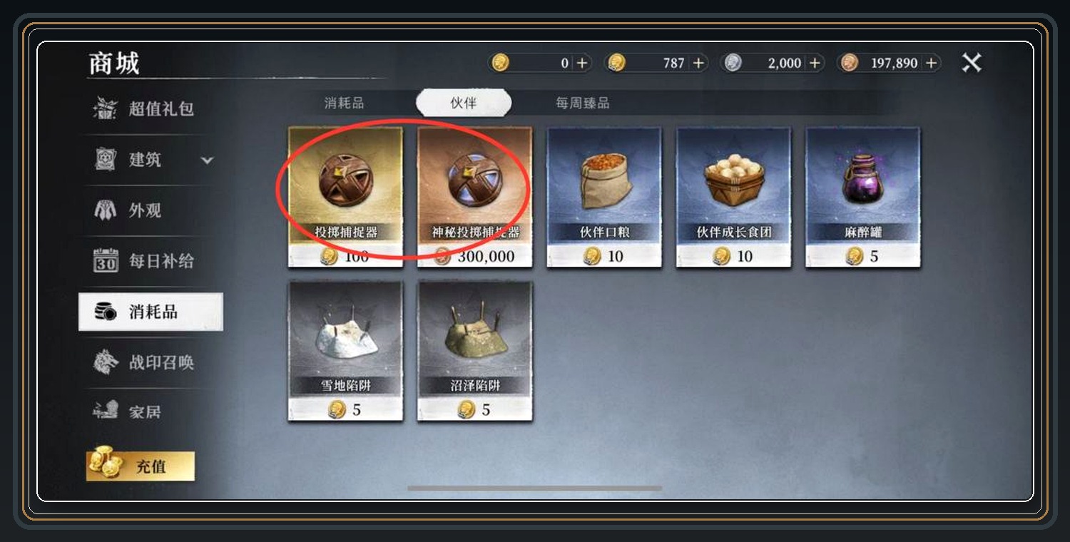 新手流派狩猎笔记和宠物 08