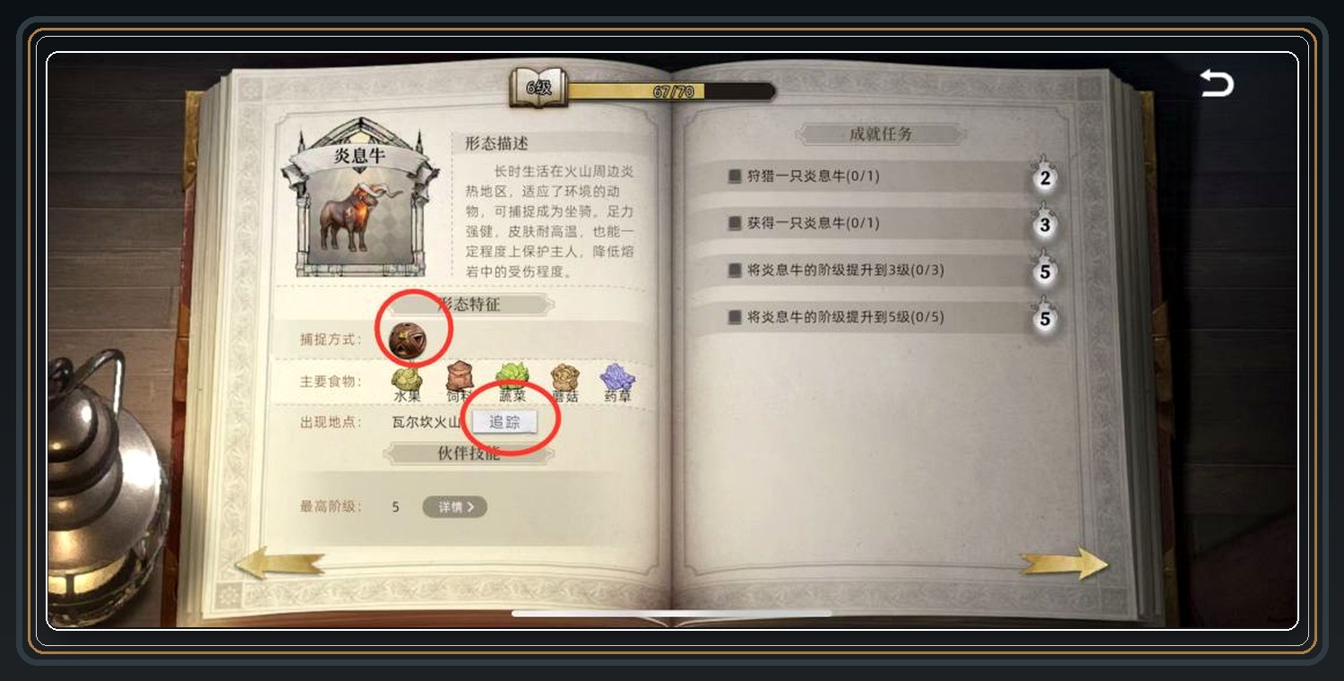 新手流派狩猎笔记和宠物 07